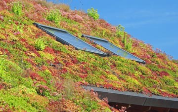 Tansley living roof systems